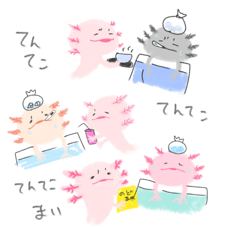 無題4254_20250109165813.jpeg