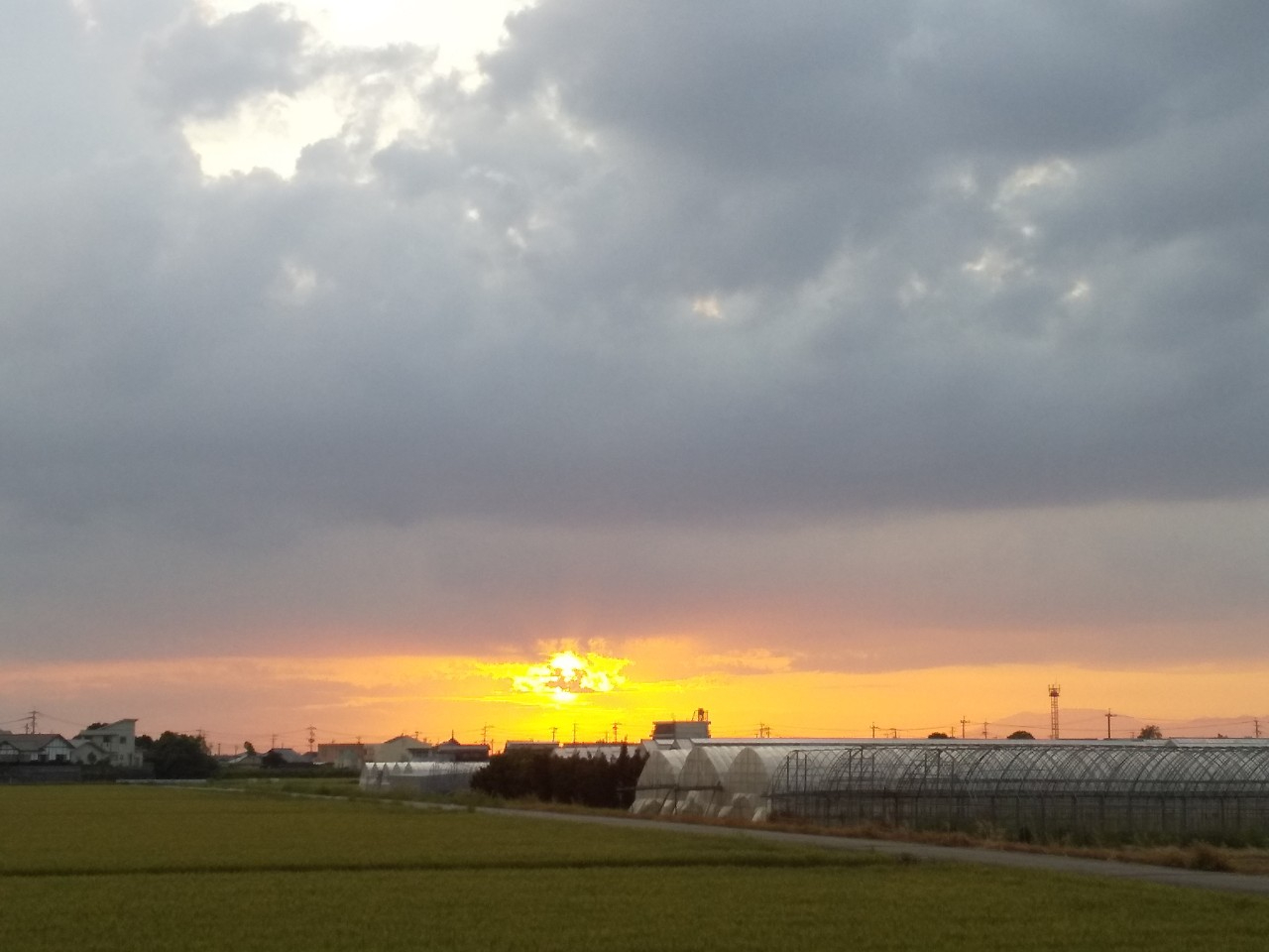 DSC_0212_20210424203728.jpg