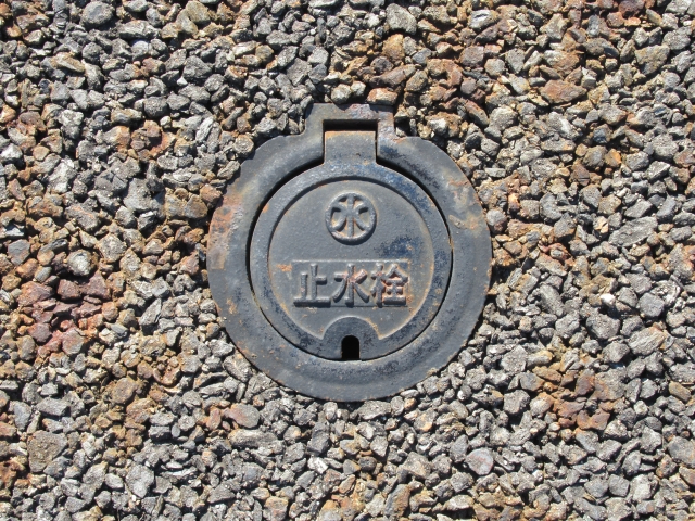 31467147_s.jpg