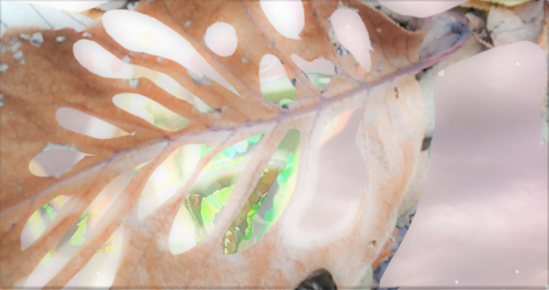 sketch-1669870641262 (3).png