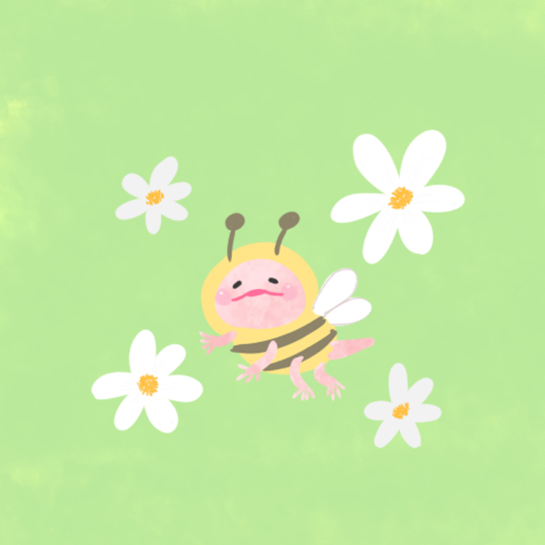無題4277_20250201164048.png