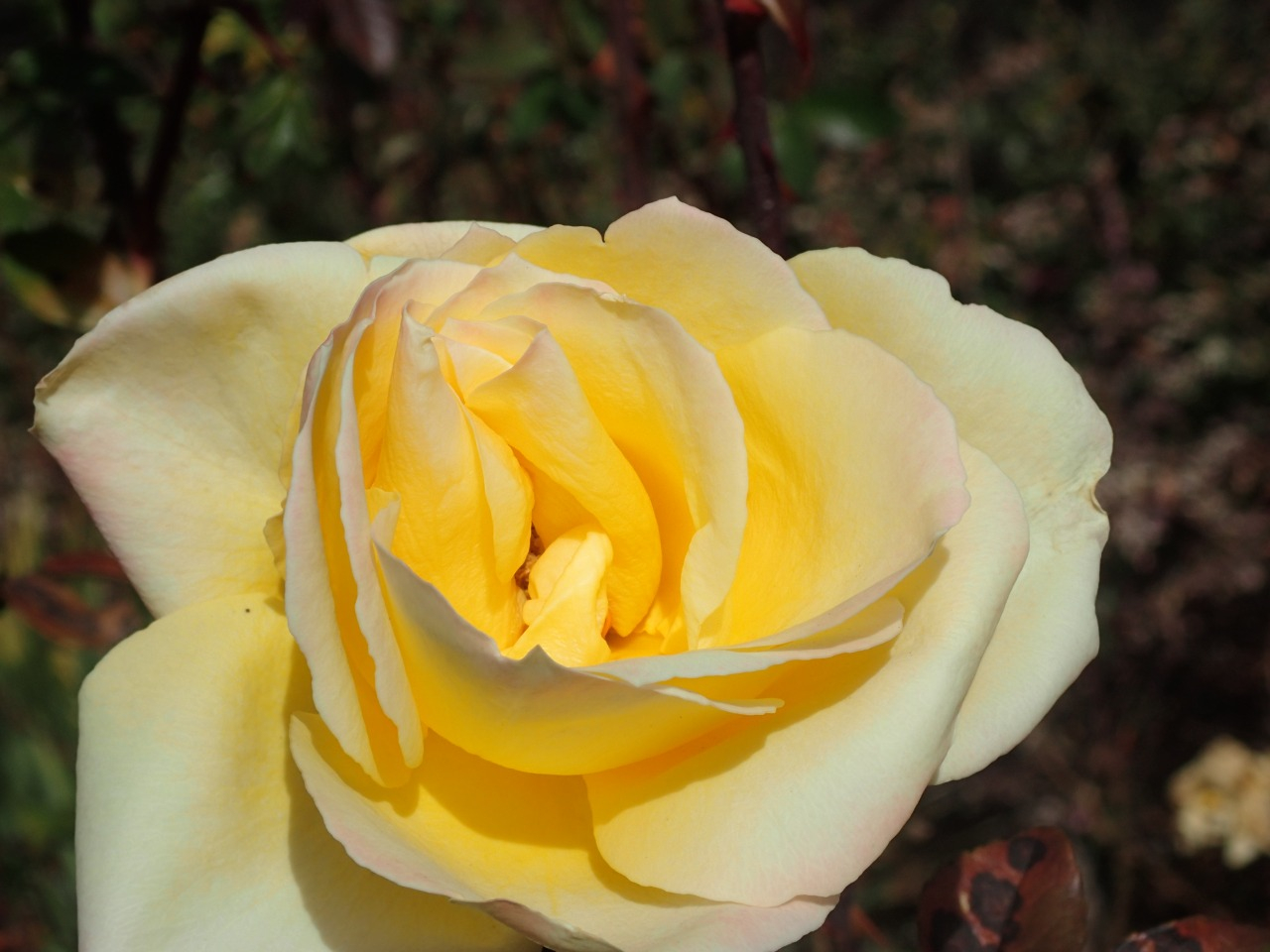 PC220607.JPG