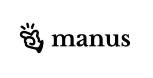 manusaiagent-1024x538.png