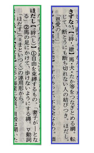 20240125-d.jpg
