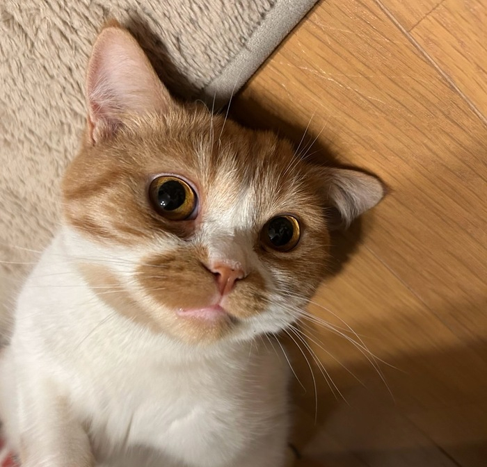 623B474E-1552-4102-B062-C6B2A1B7F414 (1).jpg