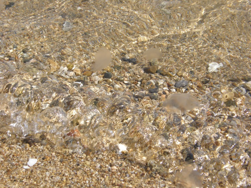 PA191312.JPG