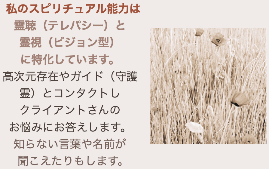 スクリーンショット 2024-08-31 11.23.24.png