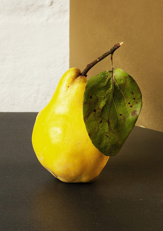 1-scaled-e1666313007357.jpg
