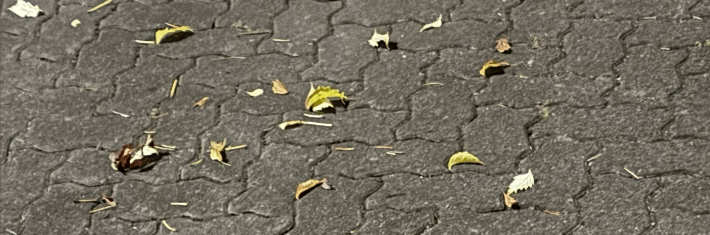 tempImageRCY3Ac.gif