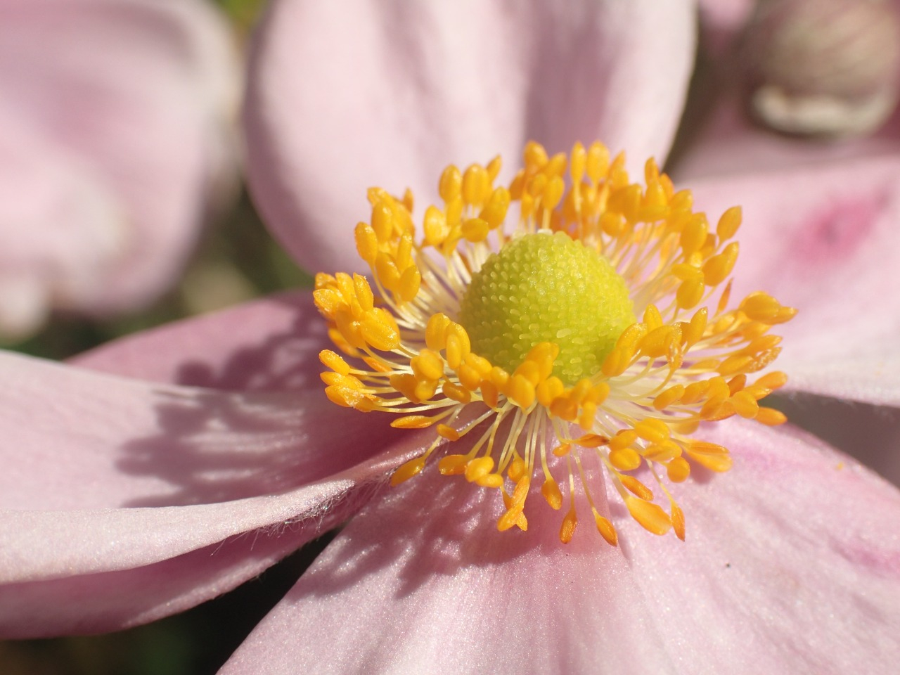 PA120698.JPG