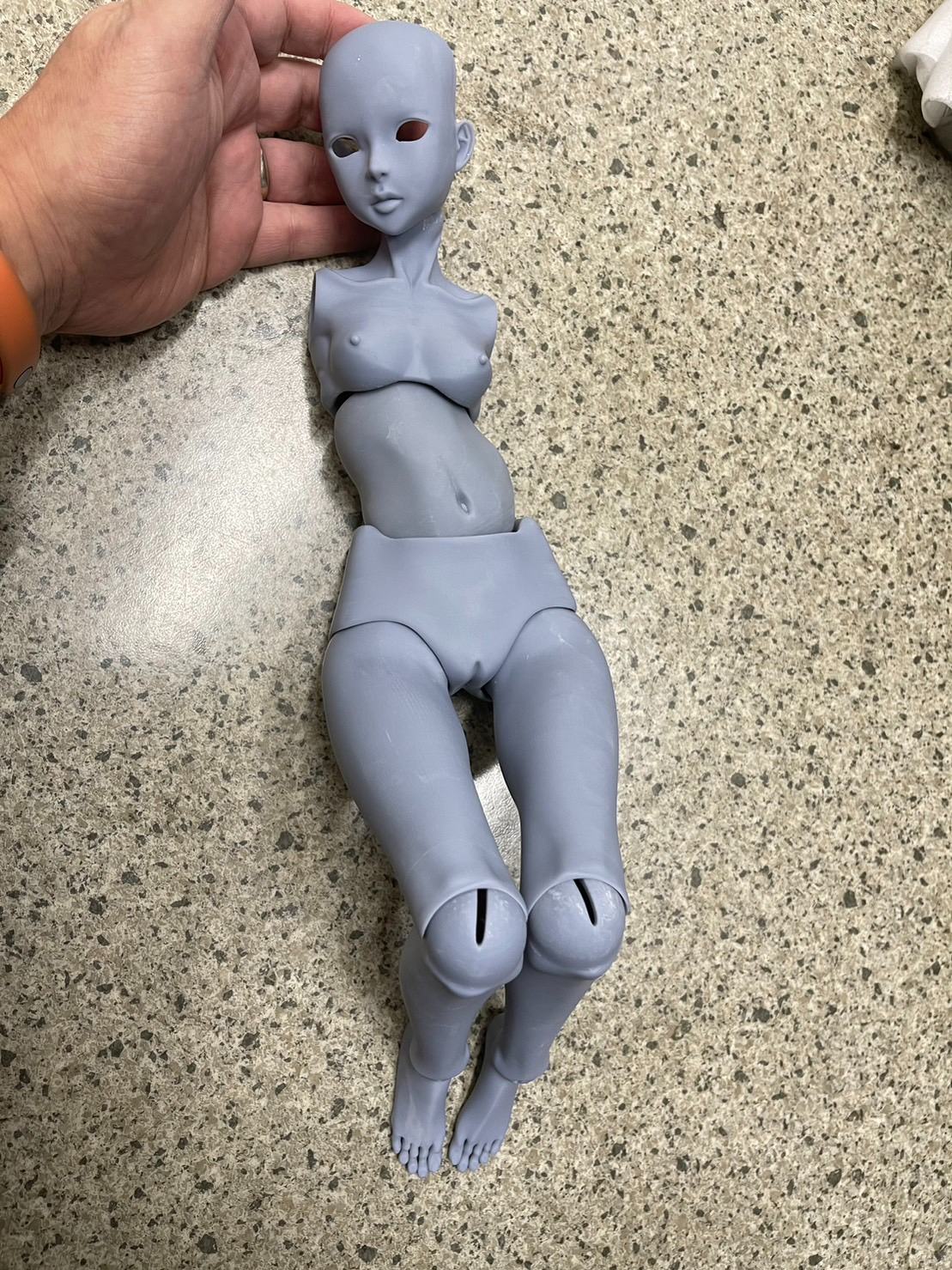 S__69869610.jpg