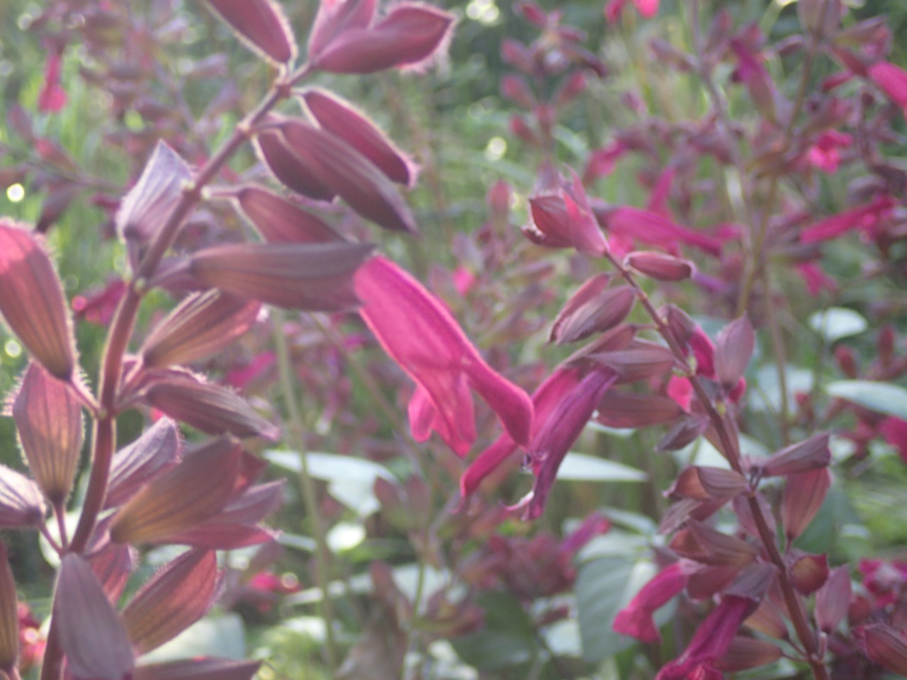 PB170815.JPG