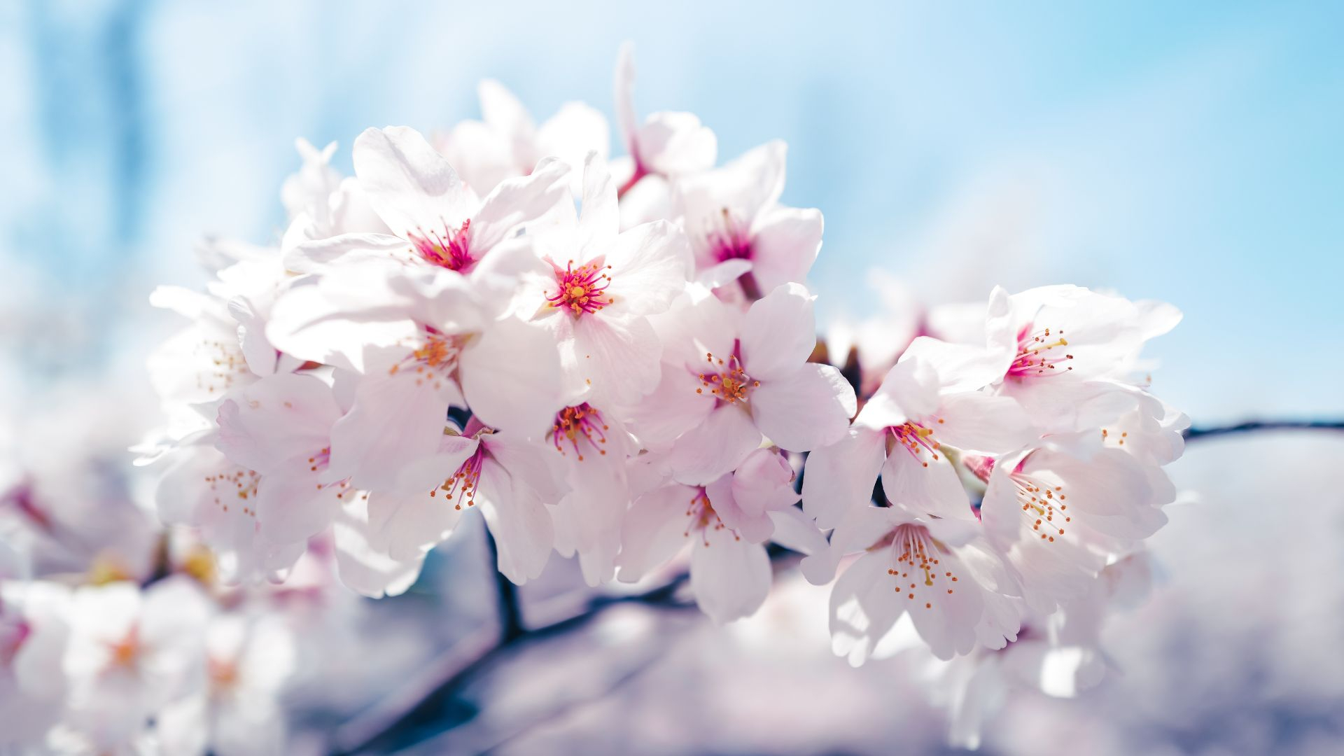 挿入画像 ④ (3).jpg