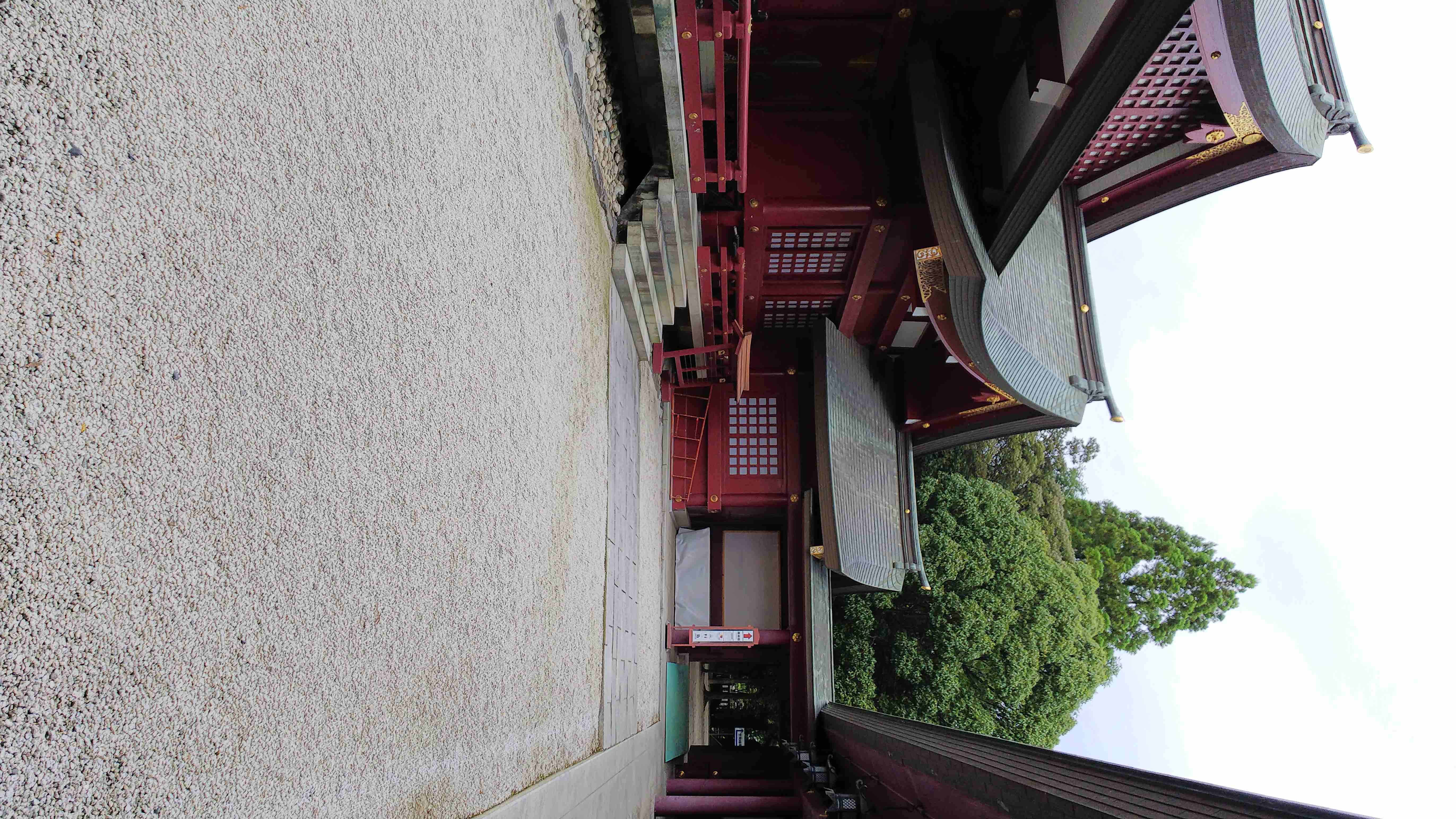 DSC_3307.JPG