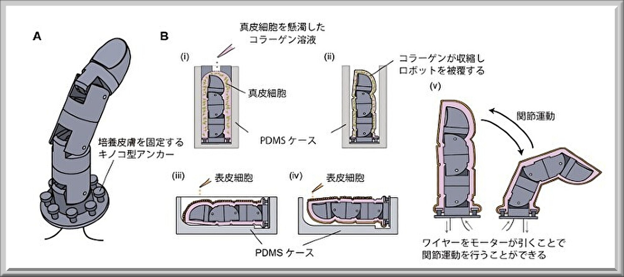 tokyo_01.jpg