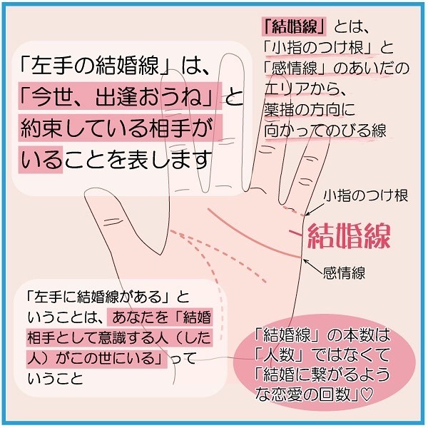 結婚線のみかた.jpg