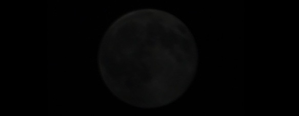 20260119-01.jpg