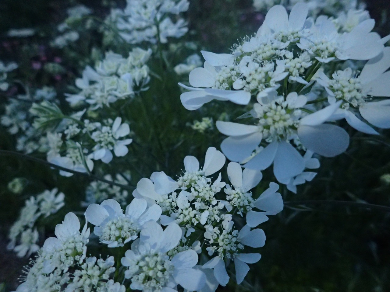 P5010344.JPG