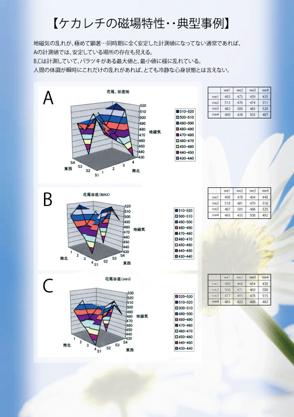 ケカレチの磁場典型事例01.jpg