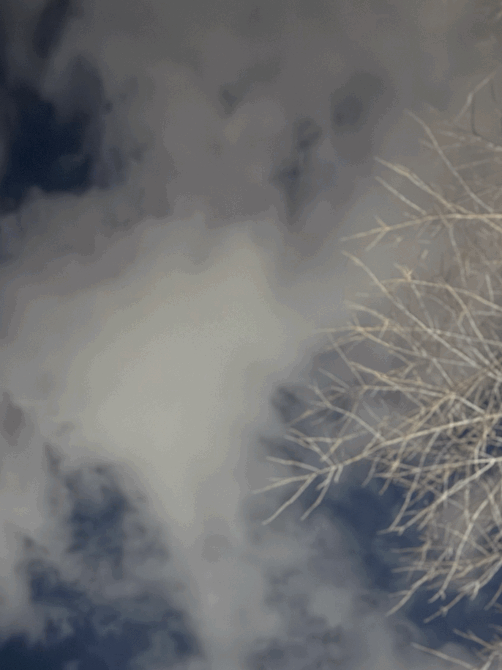 tempImage9o5Ztm.gif