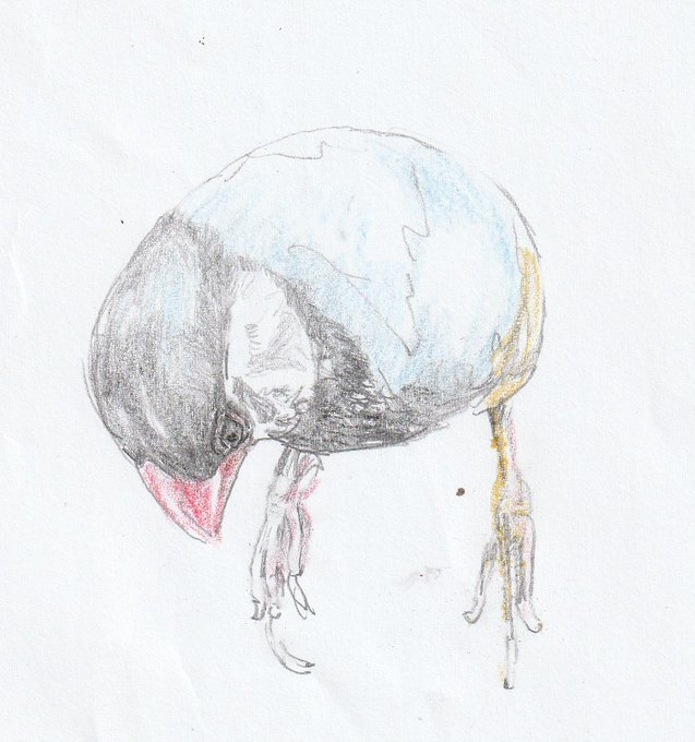 HUWvf_baQAEA9x1.jpg