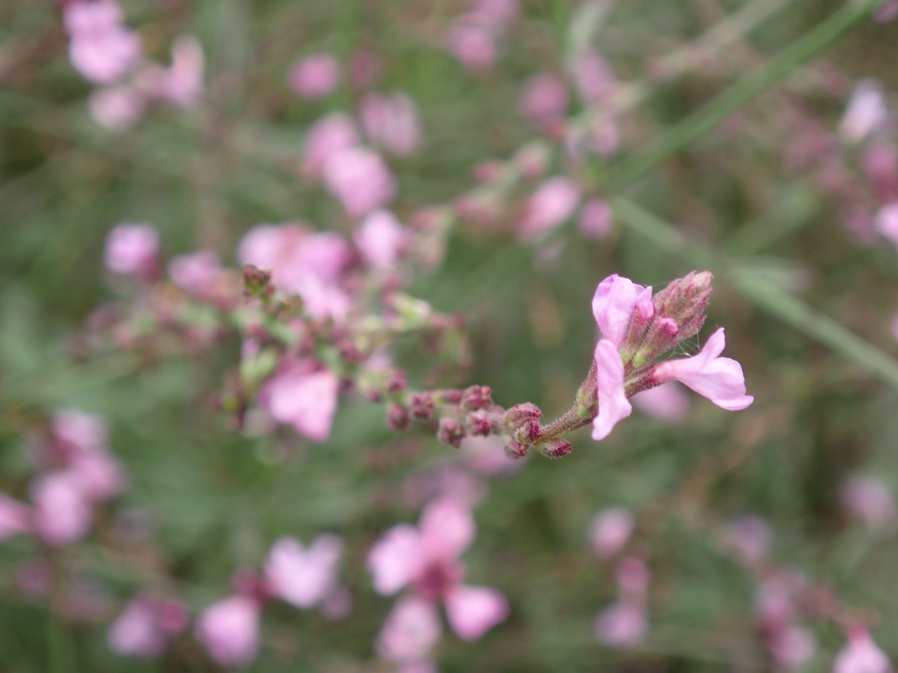 PA120210.JPG