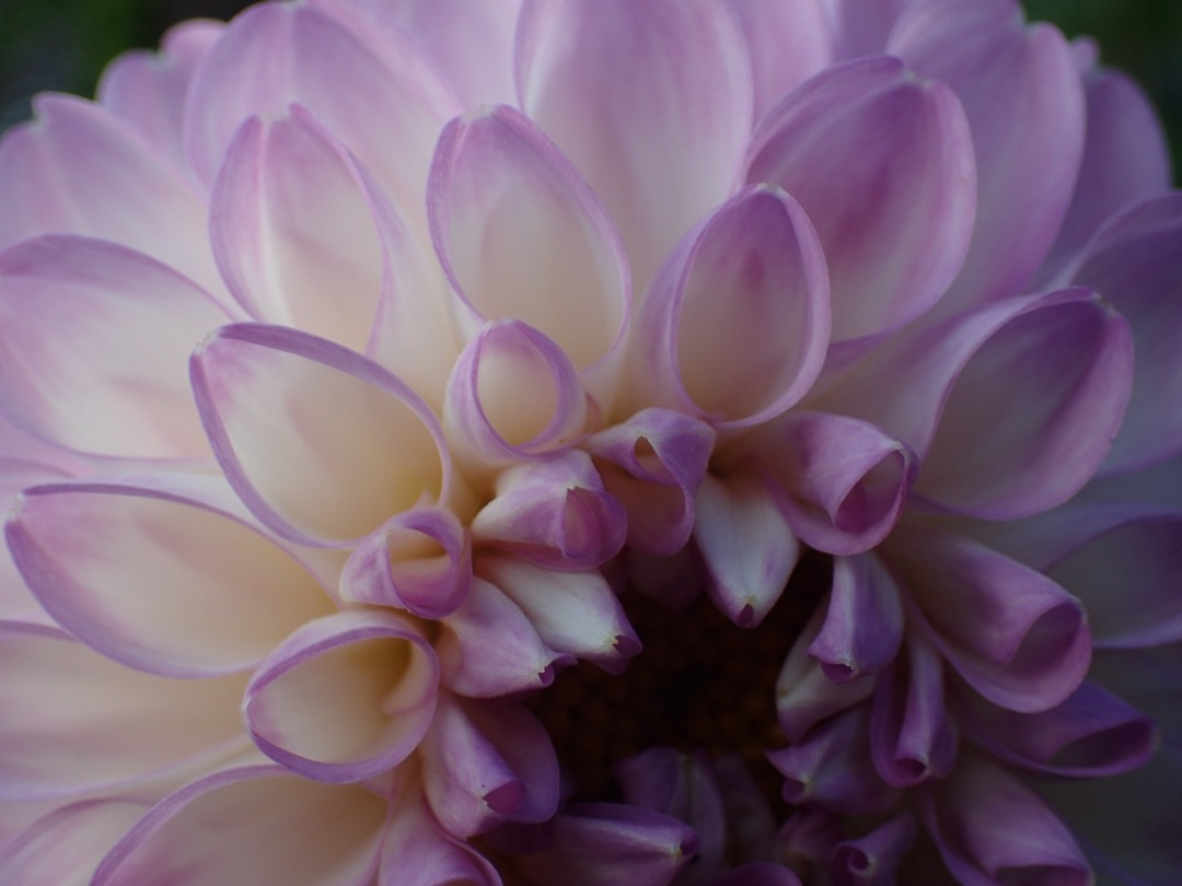 PA180657.JPG