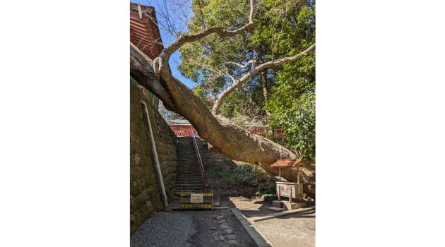 ブログ　2024033 (11).jpg