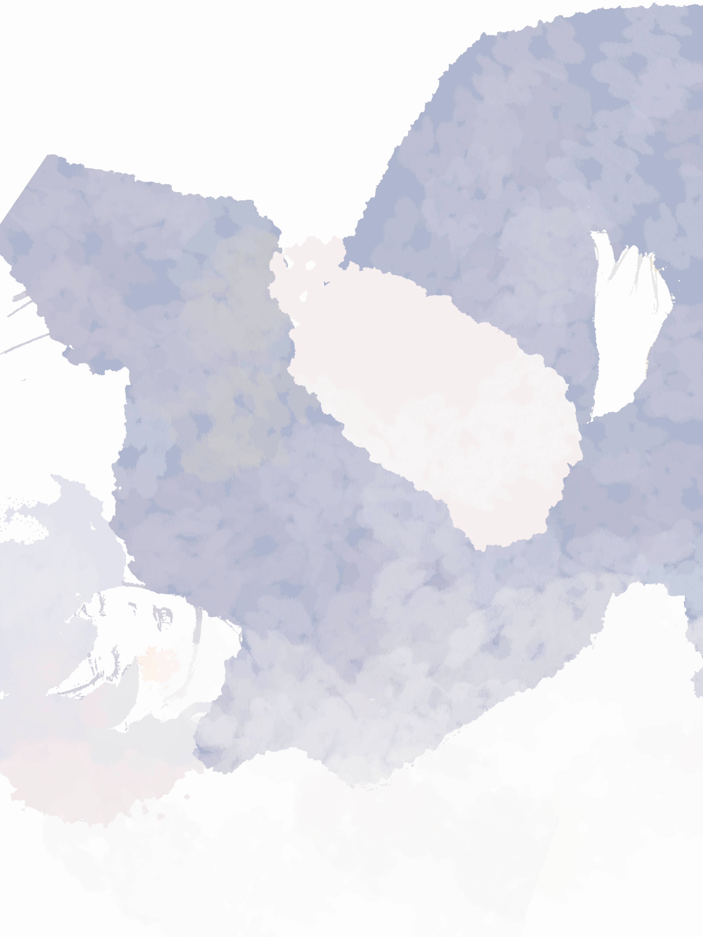 12月25.jpg