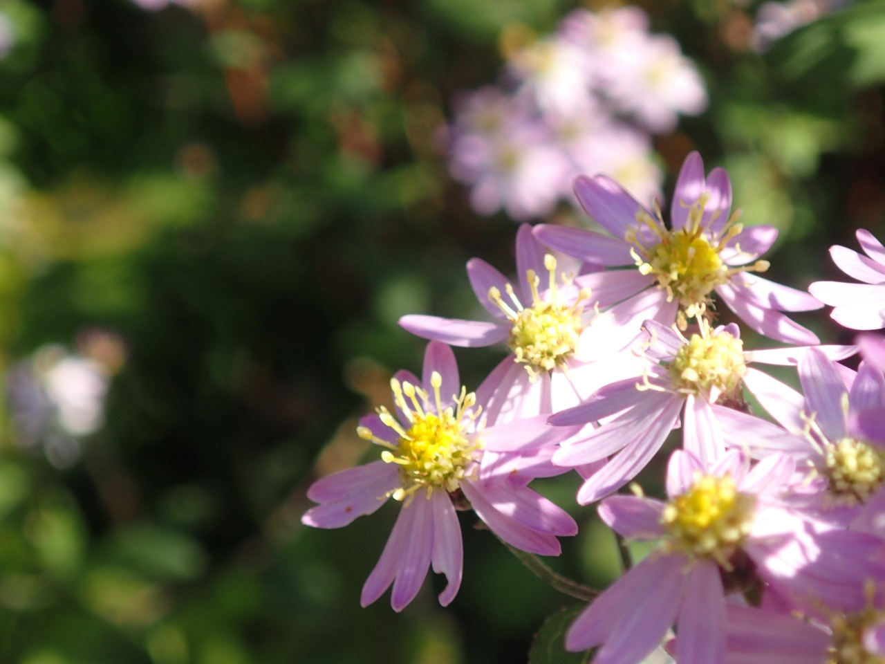 PB160422.JPG