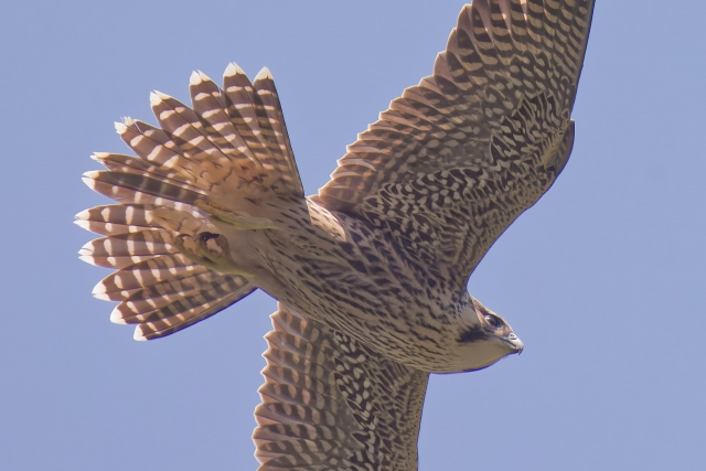 30600514_s.jpg