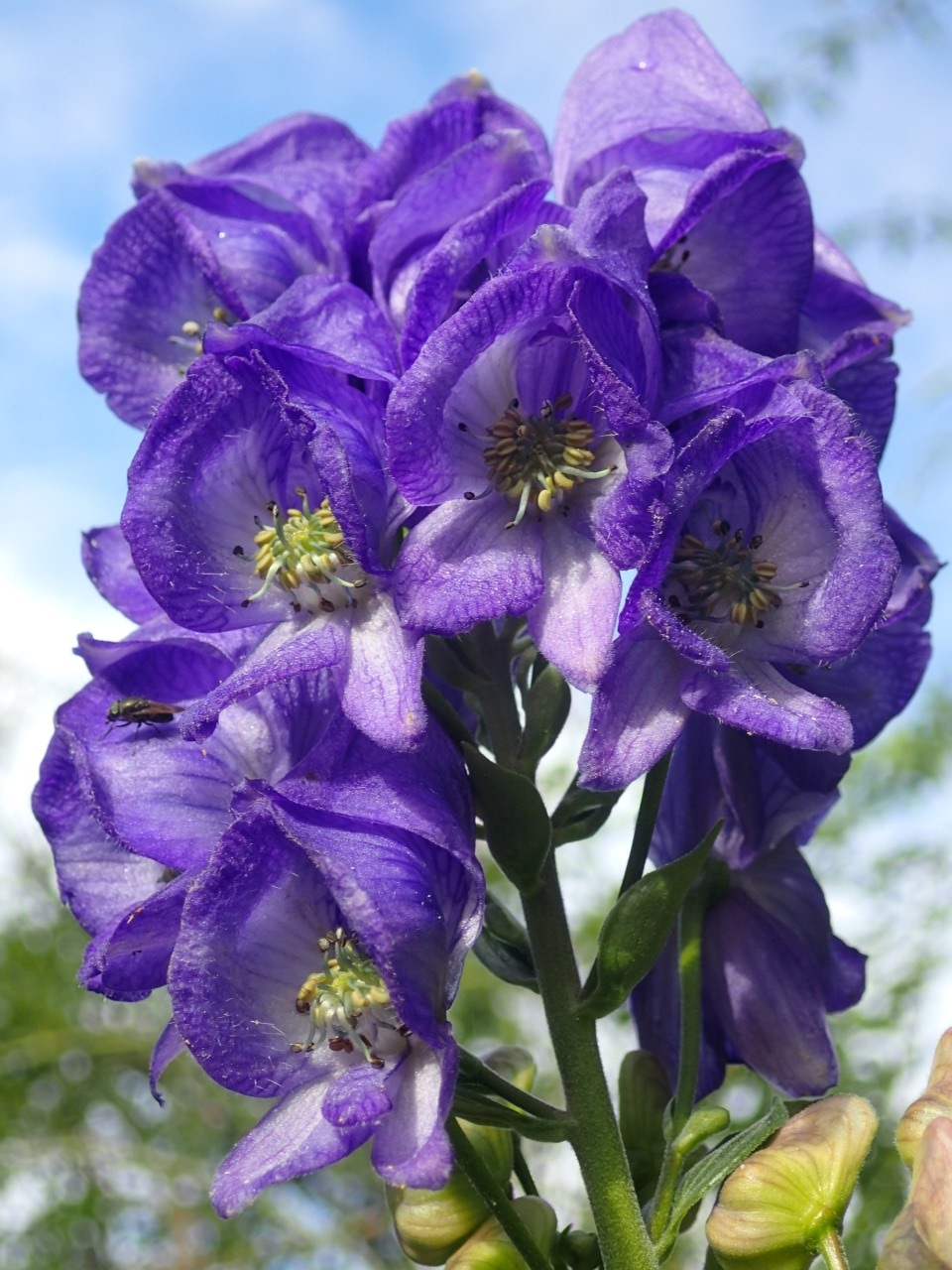 PB010373.JPG