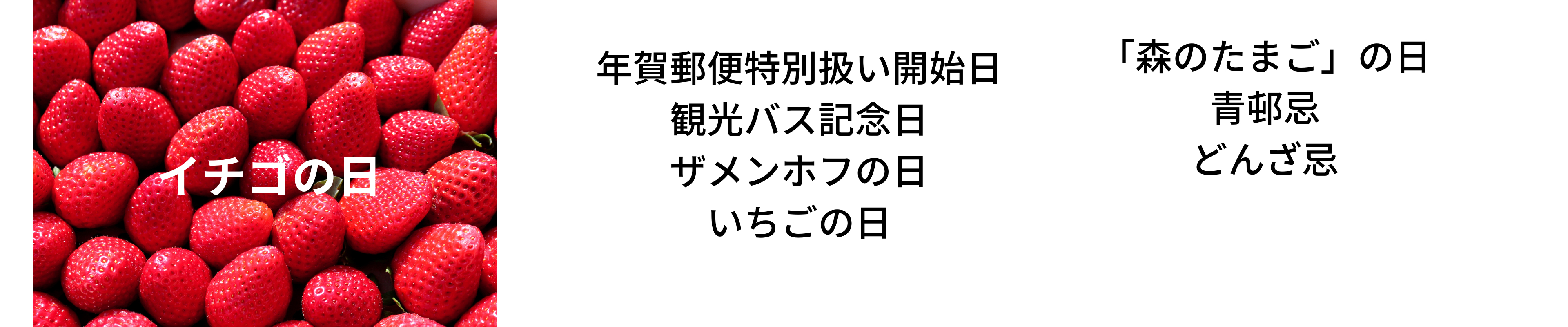 名称未設定 (3840 × 800 px).png