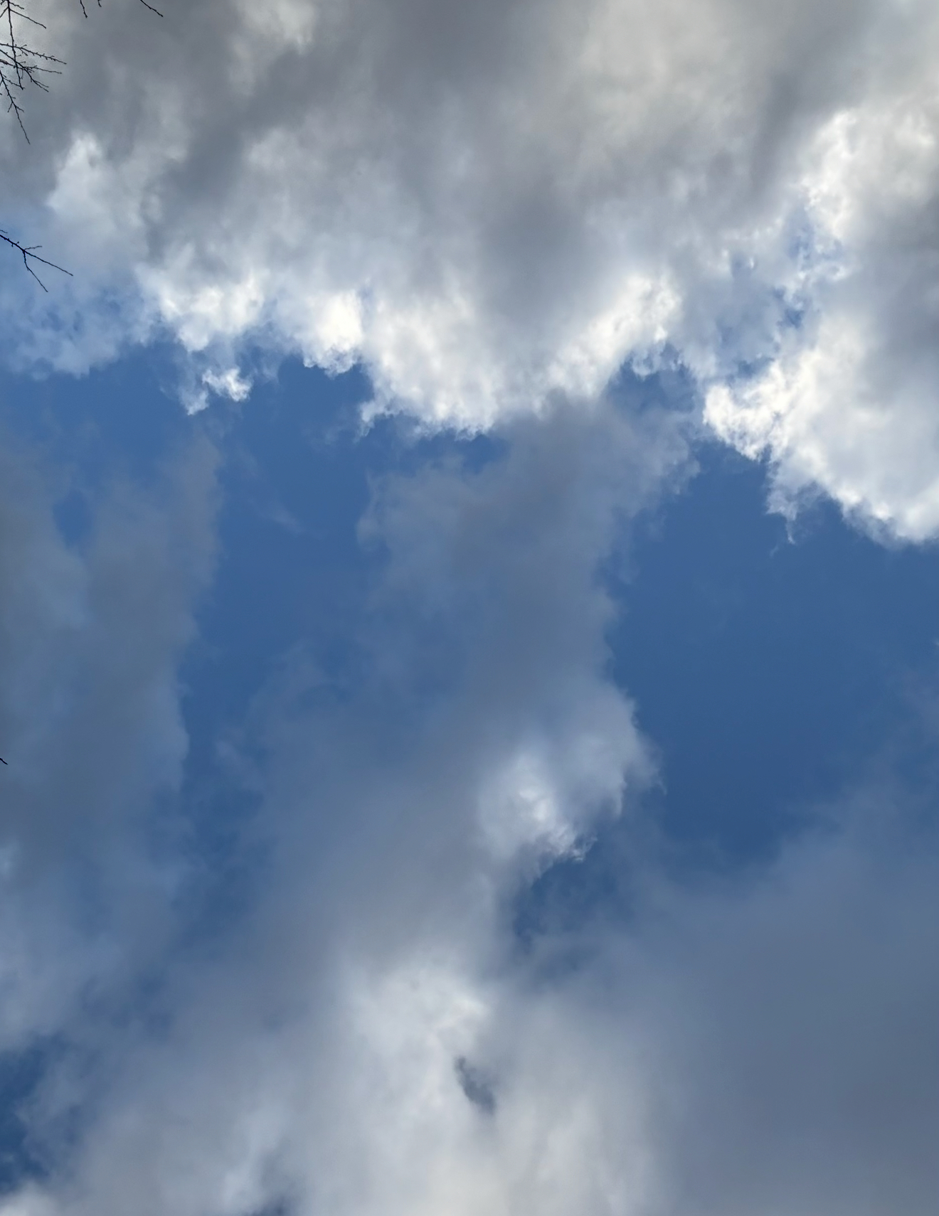 最新の写真を表示 21.png