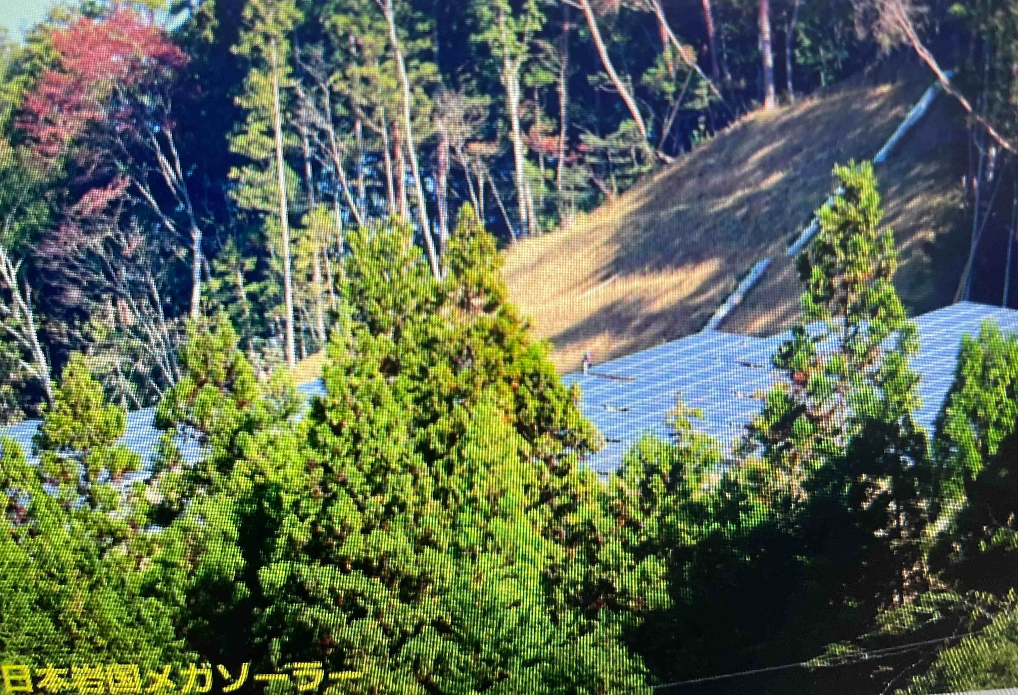 BC8A905F-0687-4A3C-AC34-11A48AC337CA.jpeg