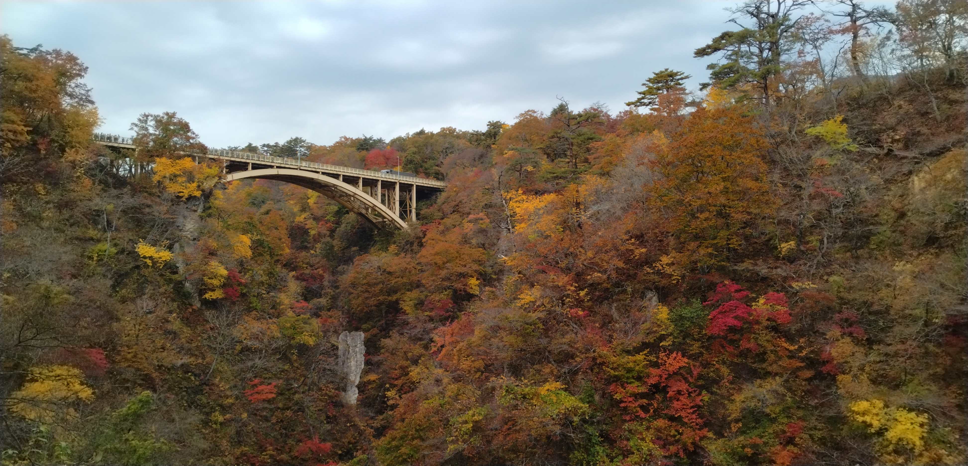 DSC_1845.jpg