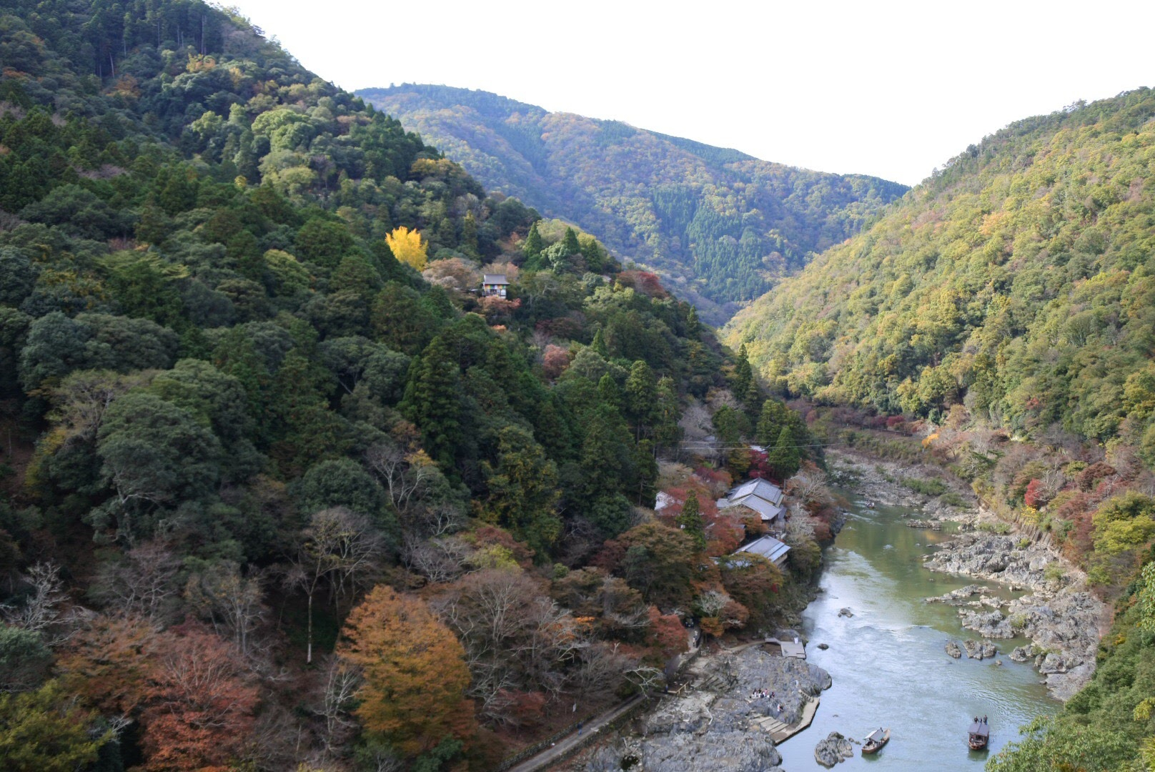 IMG_6567.JPG