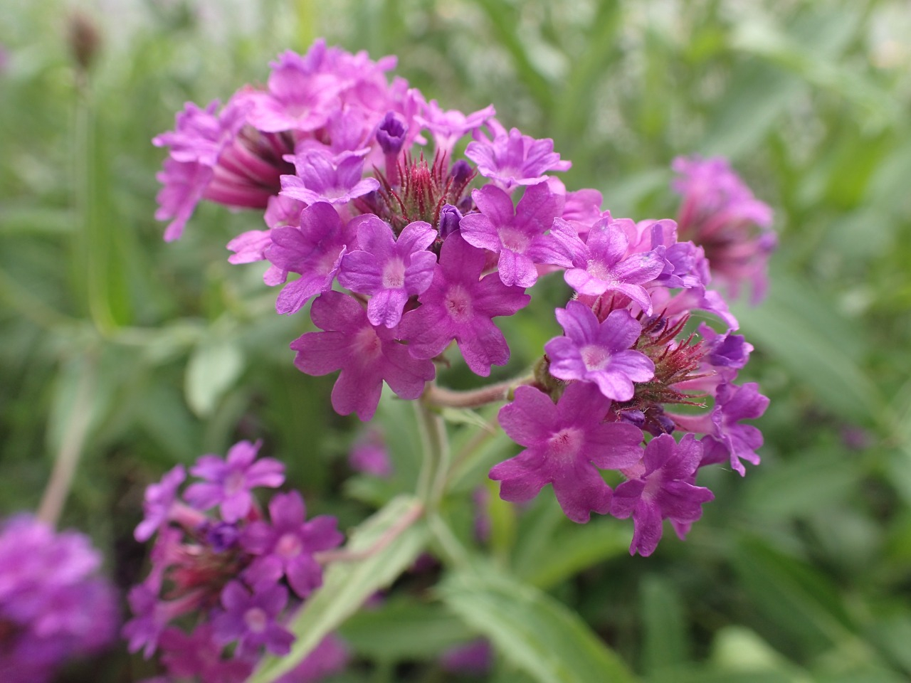 PA050319.JPG