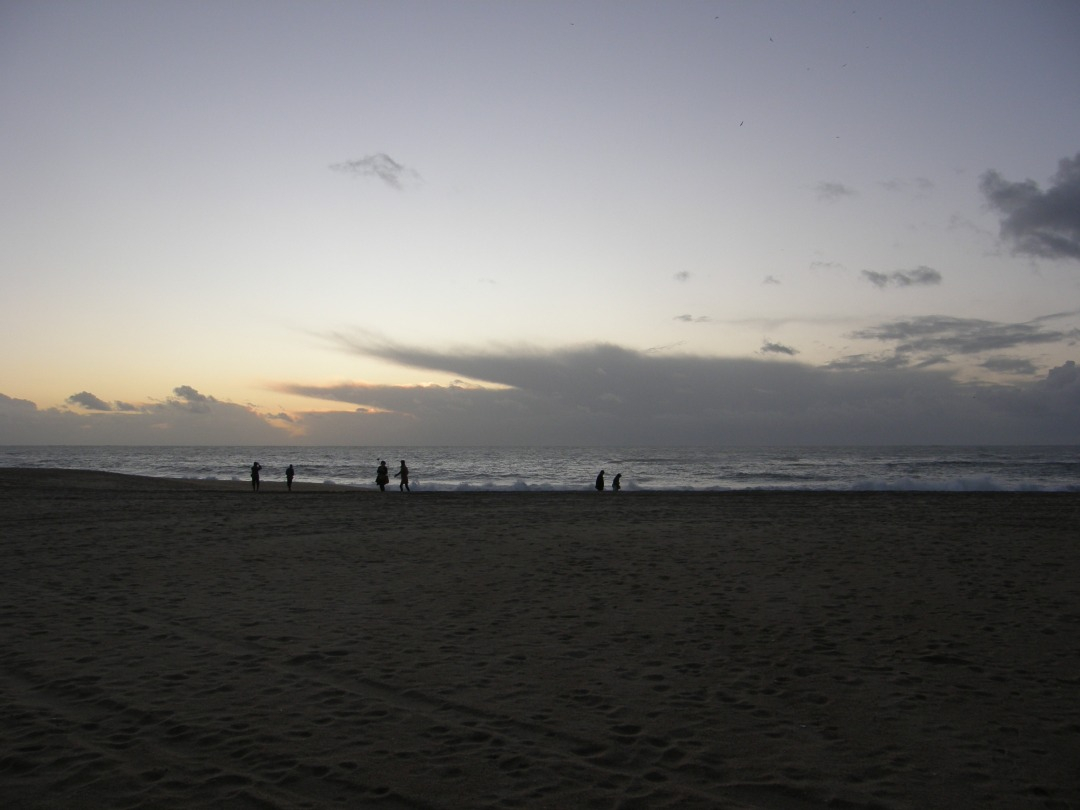 P1261481.JPG