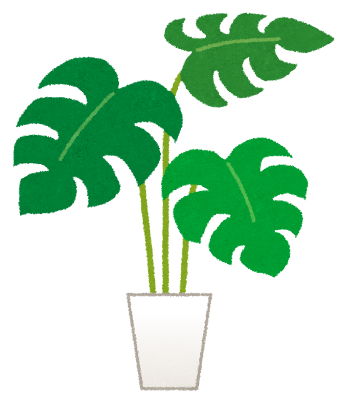 plant_monstera.png