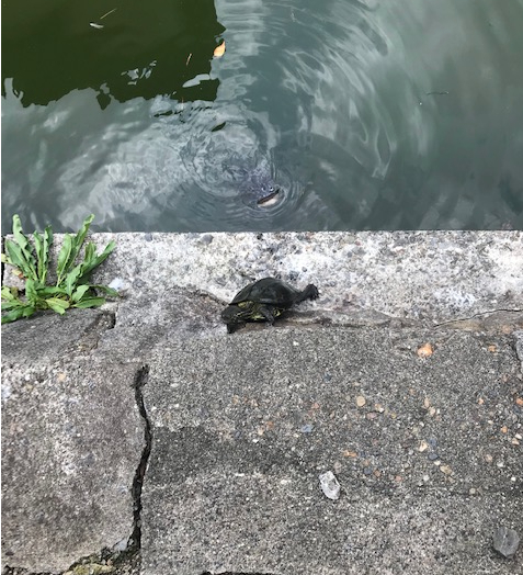 スクリーンショット 2025-08-22 13.39.33.png