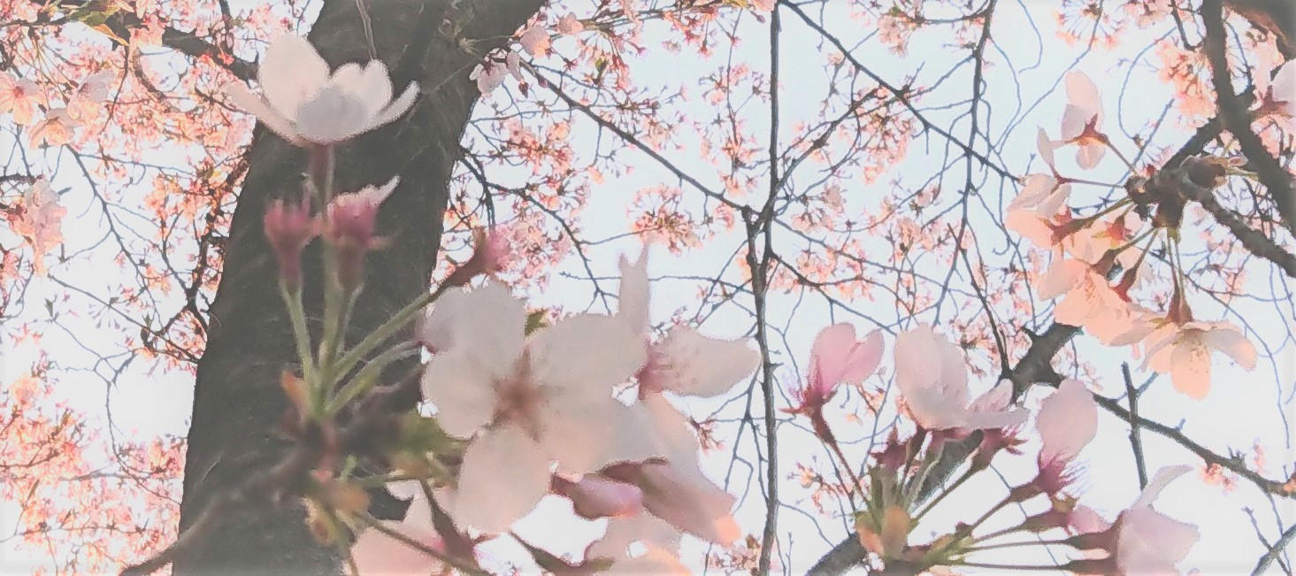 _20230402_102818 (2).JPG