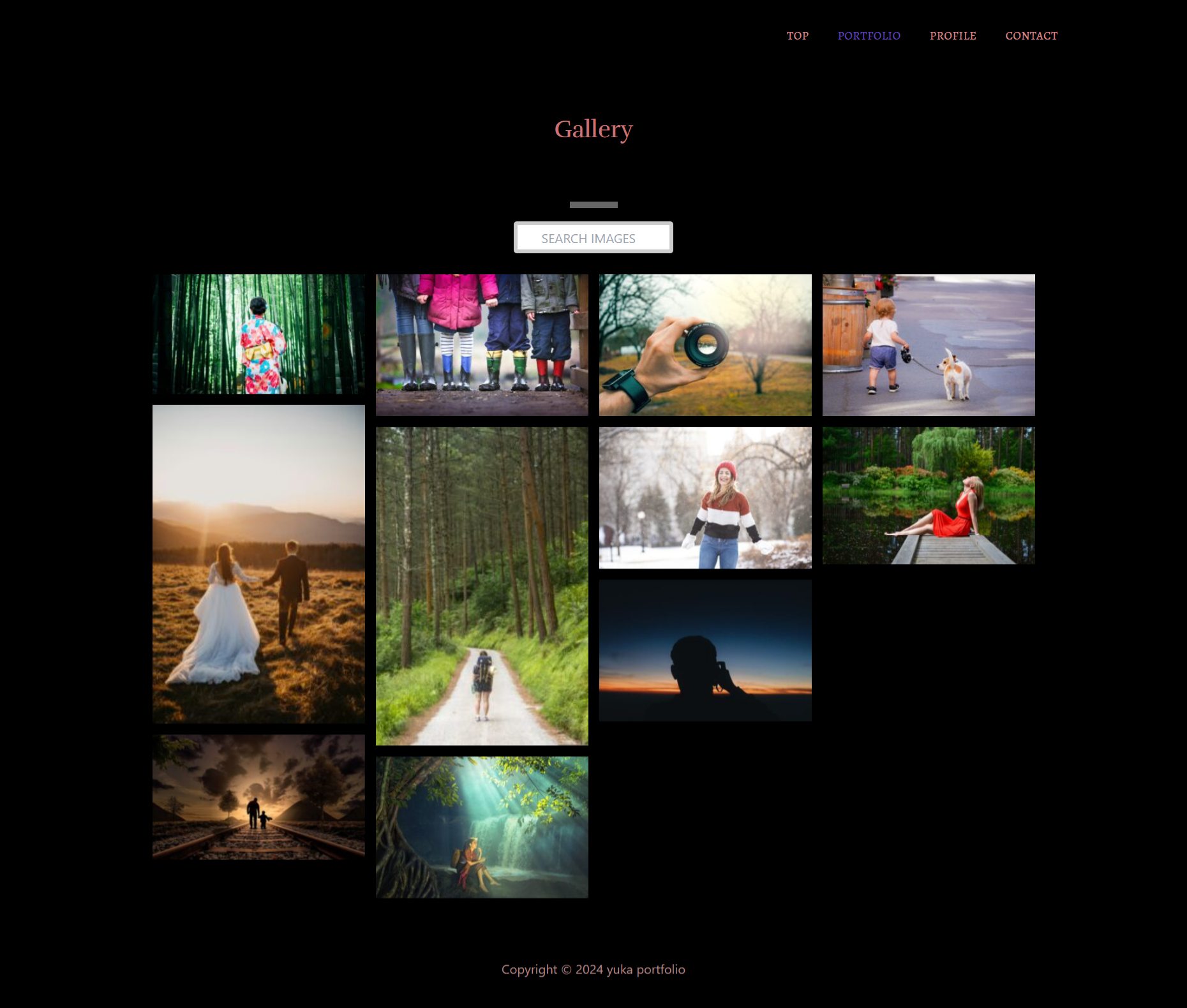 portfolio.png