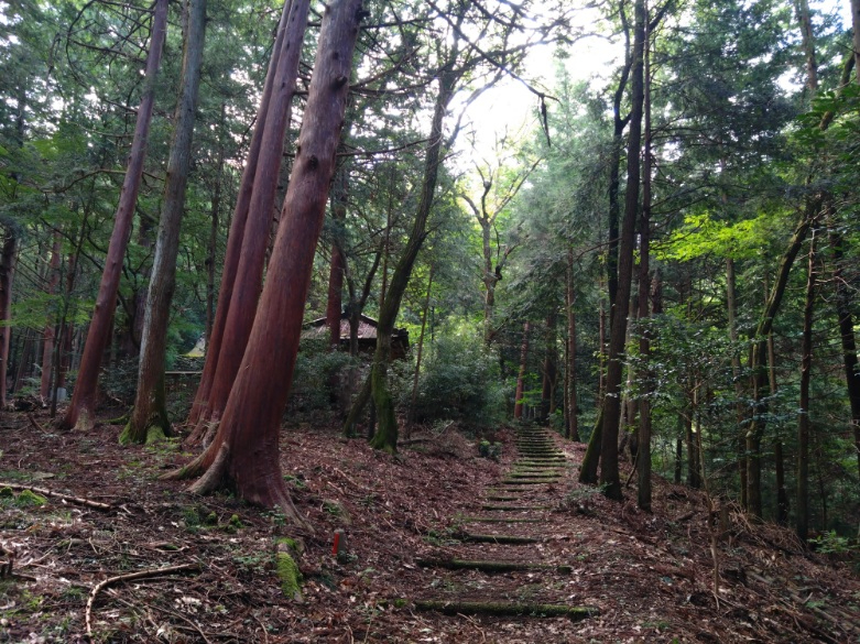 山４.JPG
