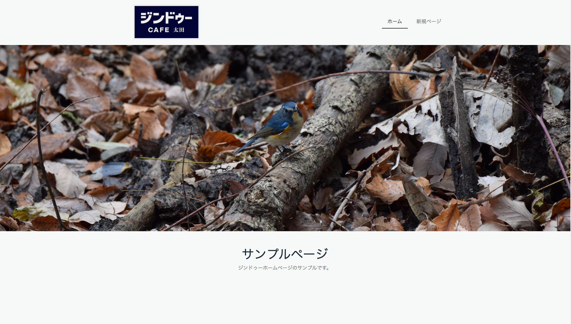 スクリーンショット 2024-01-23 18.03.07.png