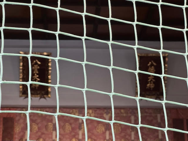 ネット.jpg