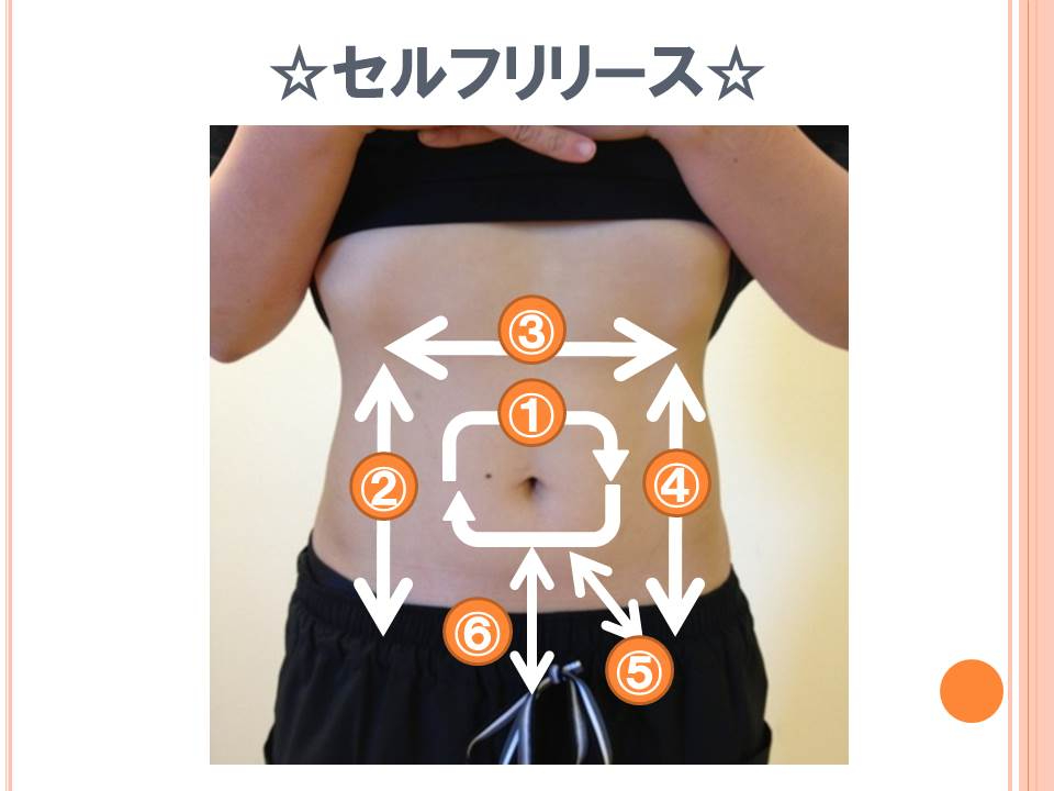 腸内環境を整え太らない身体づくり.jpg