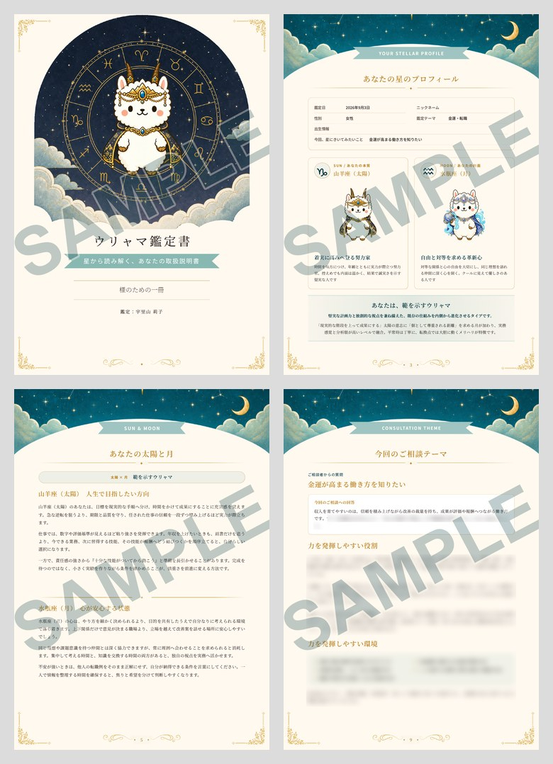 preview_money_workstyle_sample_watermark.jpg