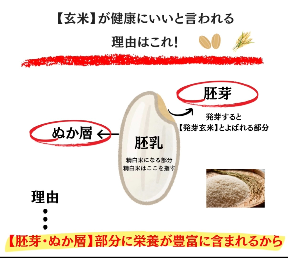 C457CF0A-C563-4914-A7BB-4224DB52C59D_1_201_a.jpeg
