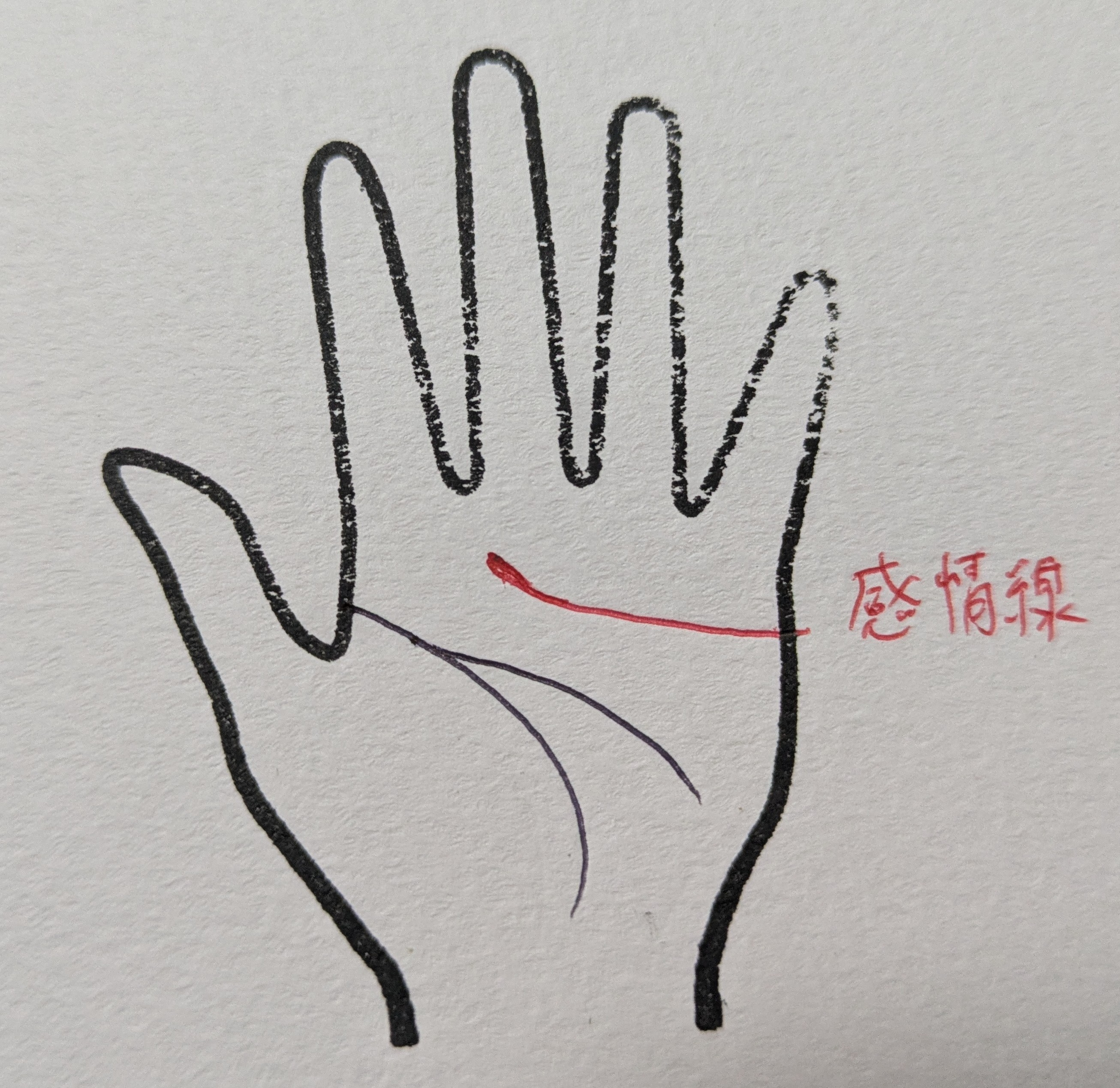 PXL_20251111_213815607.jpg